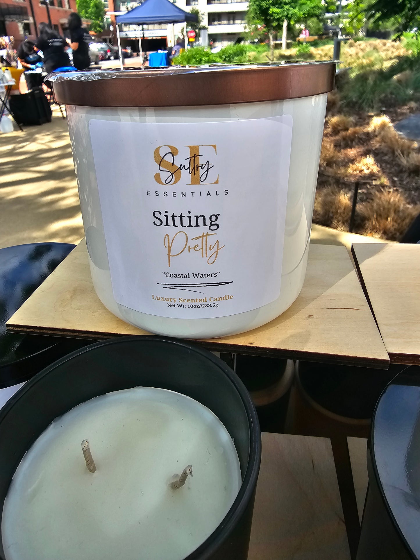 Sitting Pretty "Coastal Waters"